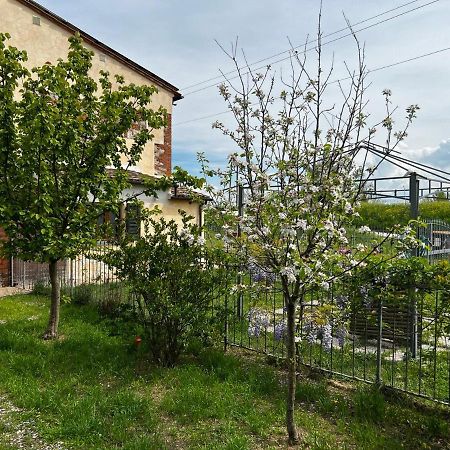 Green House Accommodation Cascina Dış mekan fotoğraf