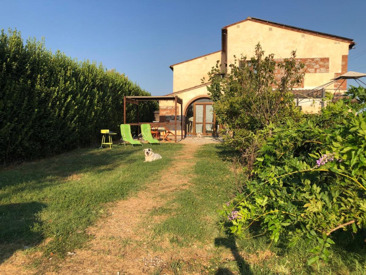 Green House Accommodation Cascina Dış mekan fotoğraf