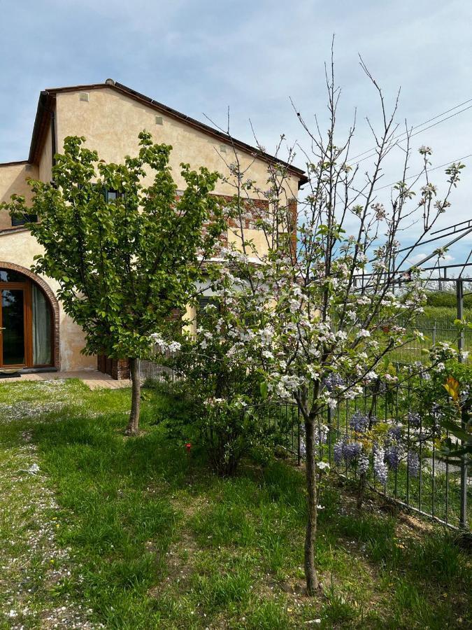 Green House Accommodation Cascina Dış mekan fotoğraf