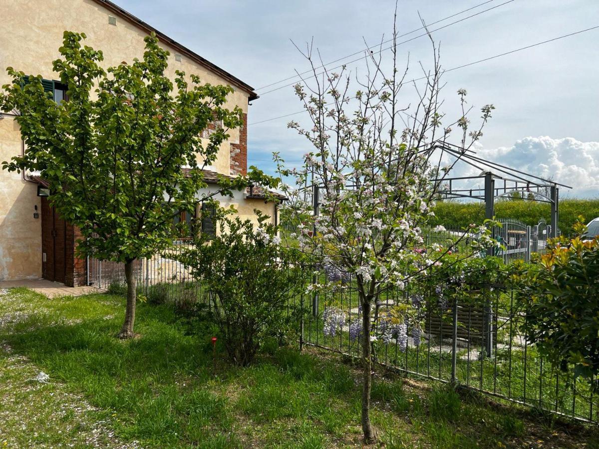 Green House Accommodation Cascina Dış mekan fotoğraf